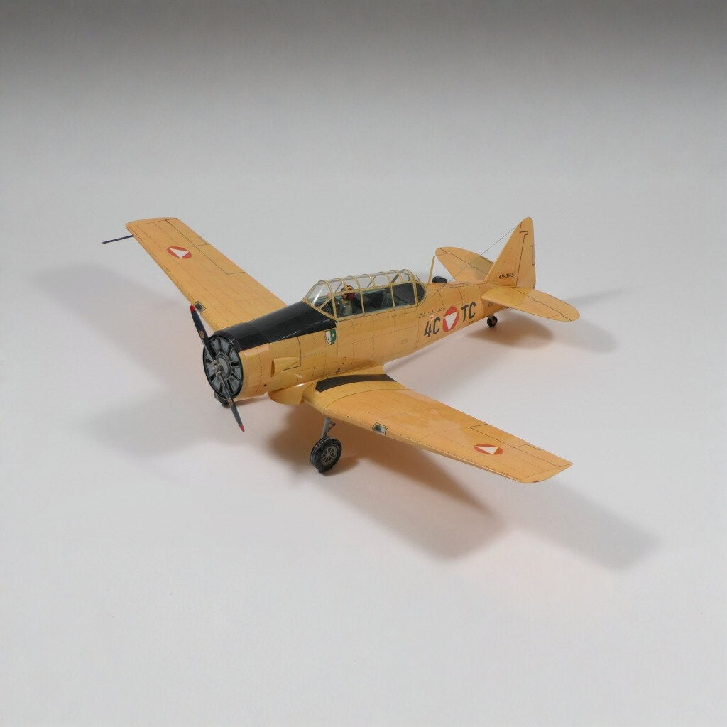 texano norteamericano